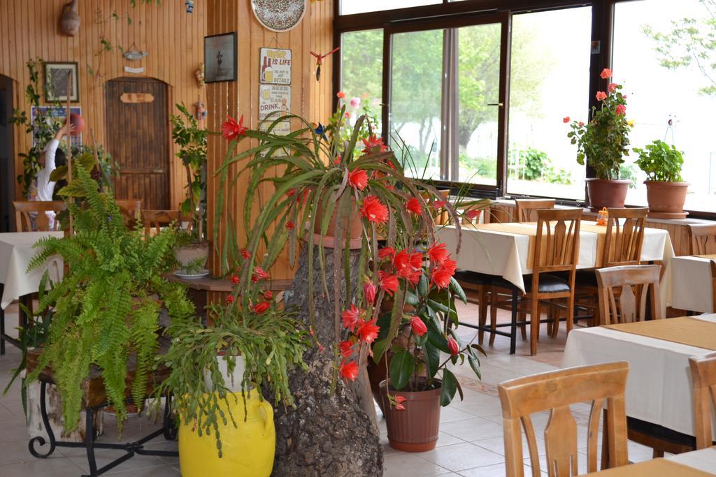 埃利迪尔 乔乔旅馆酒店 外观 照片